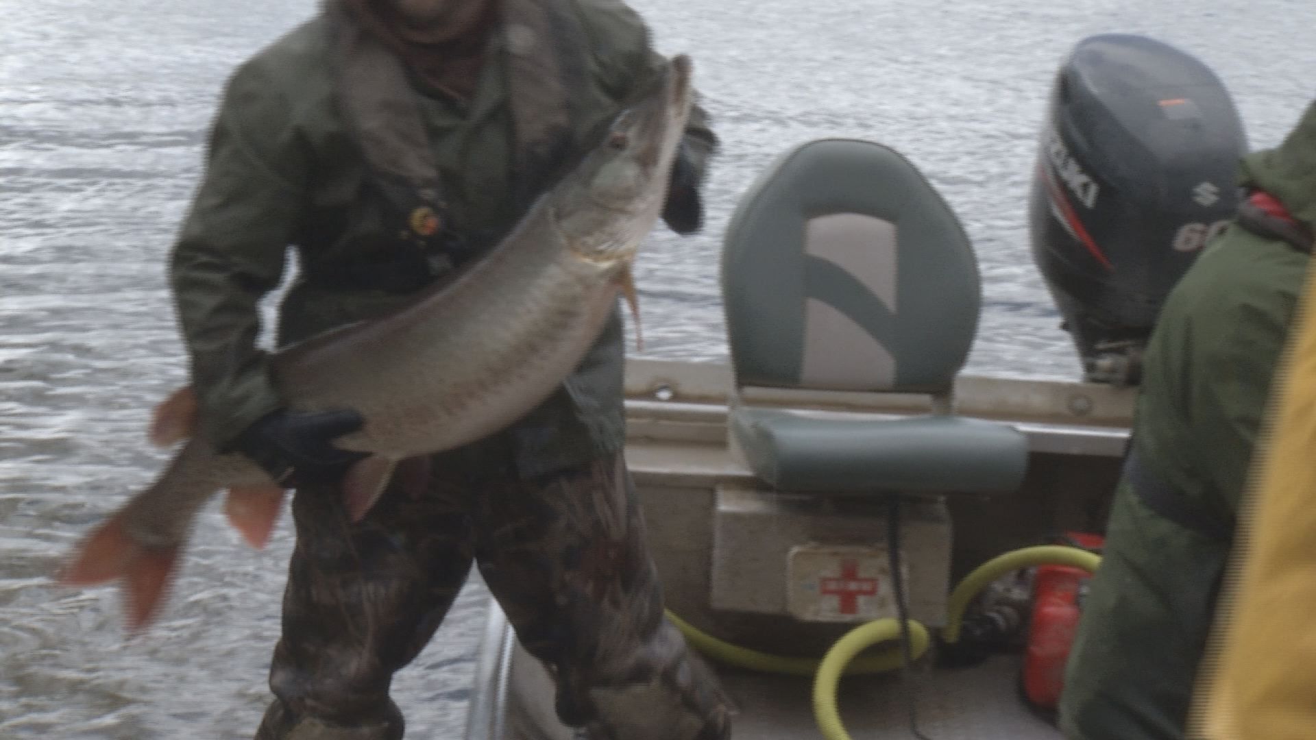 DNR Surveys Muskie Population on Fox Lake