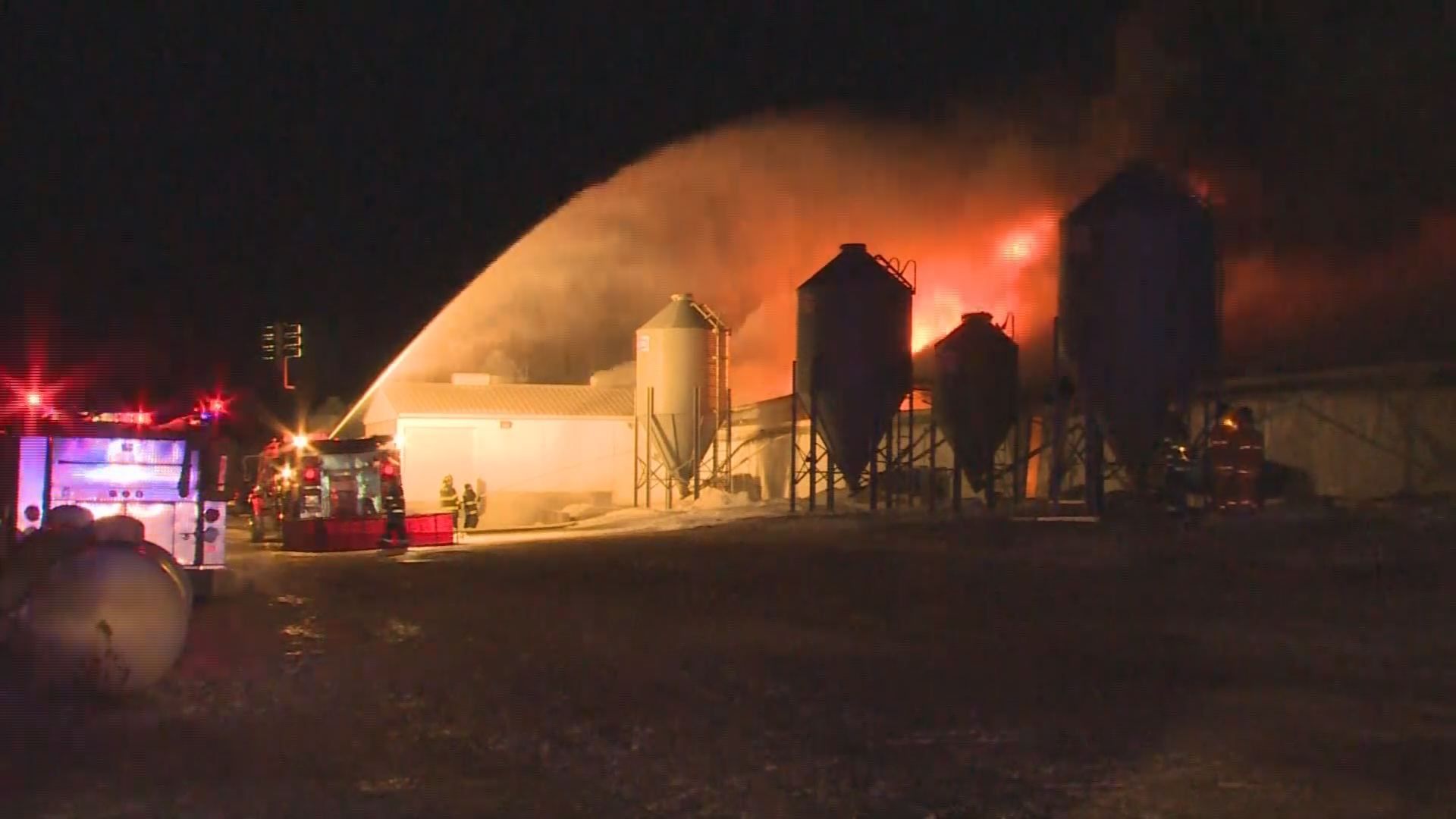 UPDATE Around 8,000 Pigs Killed In Hartland Barn Fire