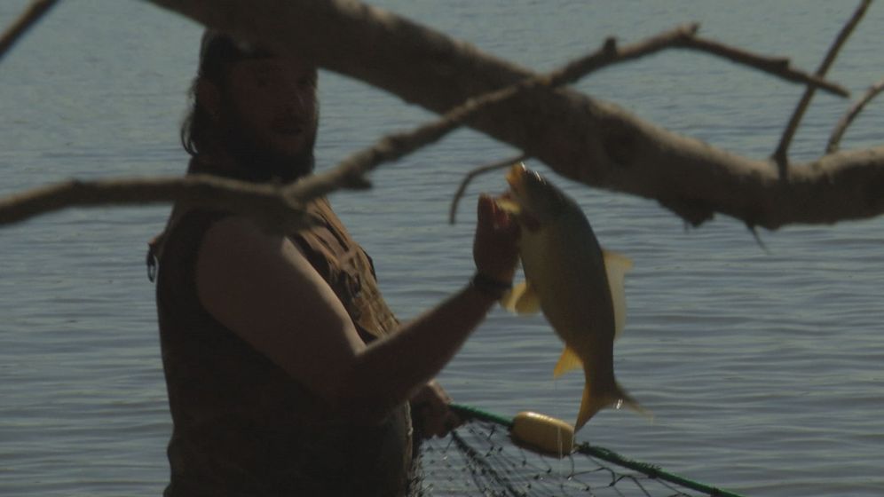 Invasive Bighead Carp Caught in Minn. River Near New Ulm
